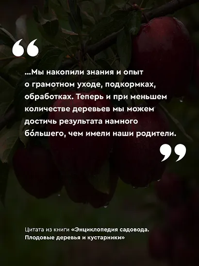 Энциклопедия садовода. Плодовые деревья и кустарники - фото 6