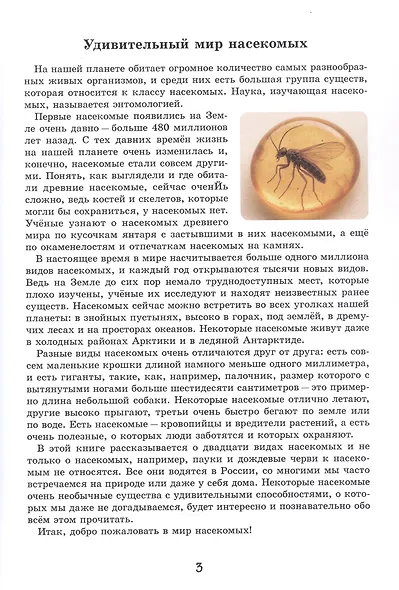 Эти милые букашки - фото 3