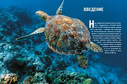 Тайны морей и океанов. Большая иллюстрированная энциклопедия - фото 12