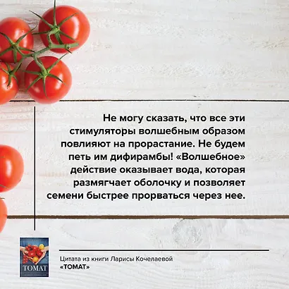 Томат. Выращиваем, ухаживаем и едим - фото 8