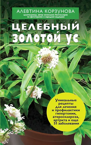 Целебный золотой ус - фото 1