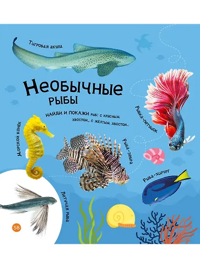 Мои первые 300 слов. Животные, рыбы, птицы, растения - фото 7