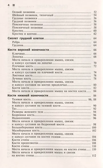 Справочный атлас анатомии человека (На основе Международной анатомической терминологии) - фото 5