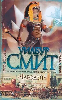 Чародей - фото 1