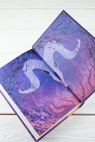 Крестейр. Ордо Юниус - фото 15