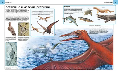 Динозавры. Иллюстрированный атлас - фото 9