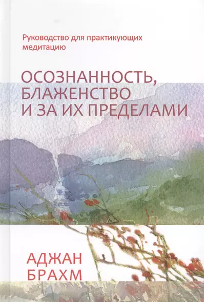 Осознанность, блаженство и за их пределами. Руководство для практикующих медитацию - фото 1