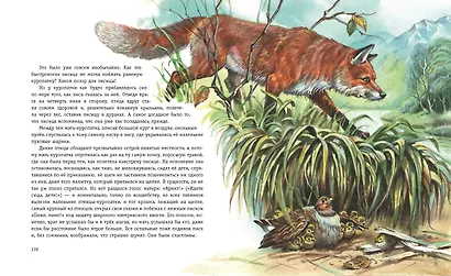 Рассказы о животных (ил. В. Канивца) - фото 7