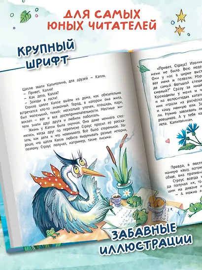 Цапля Капля, или Секреты в конверте - фото 6