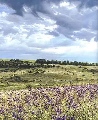 Белгородская черта: история, фортификация, люди - фото 4