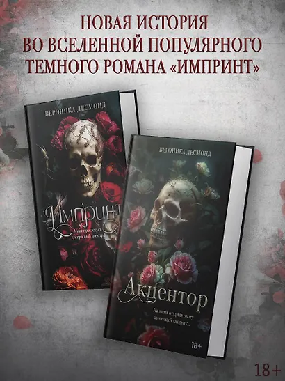 Акцентор - фото 5