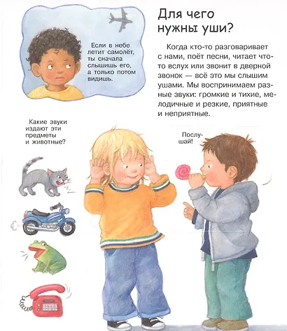 Что? Почему? Зачем? Вижу, слышу, чувствую (с волшебными окошками) - фото 3