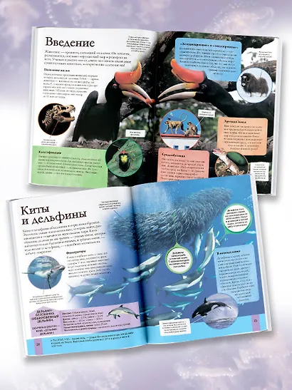 Мир животных - фото 4