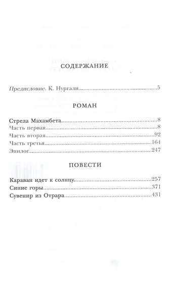 Стрела Махамбета - фото 2