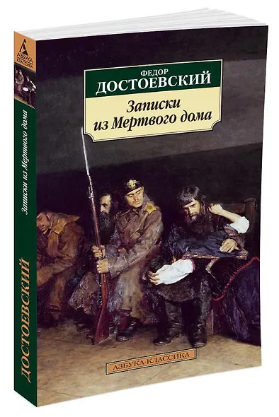 Записки из Мертвого дома - фото 2