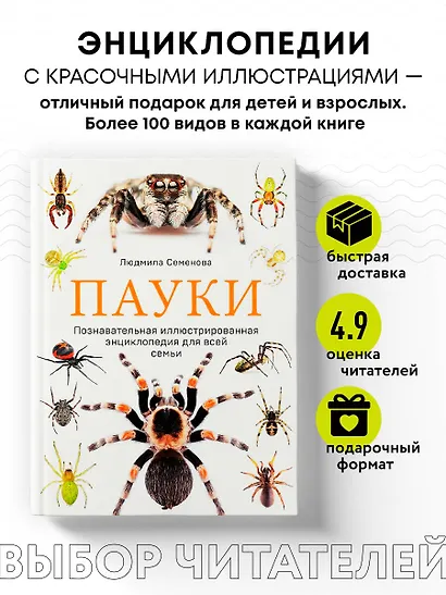 Пауки: познавательная иллюстрированная энциклопедия для всей семьи - фото 4