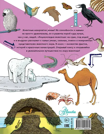 Энциклопедия животных: на суше, под водой и в воздухе - фото 2