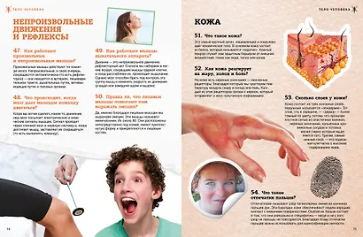 Тело человека - фото 5