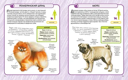 Собаки - фото 6