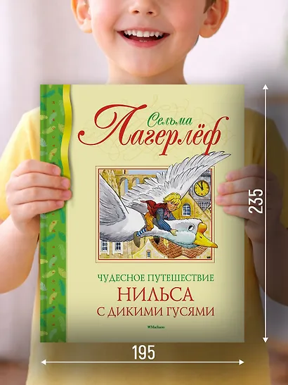 Чудесное путешествие Нильса с дикими гусями - фото 4