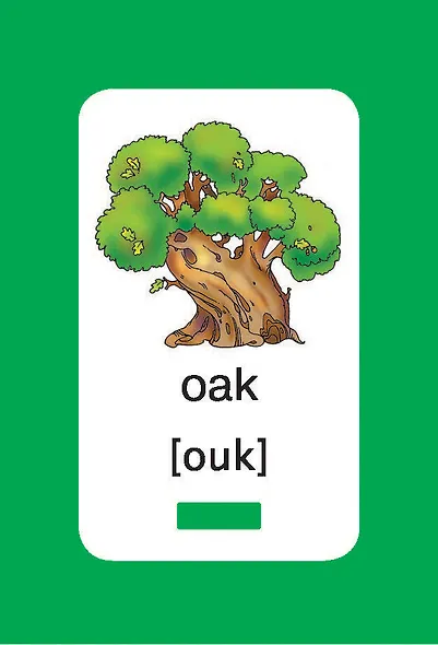 300 первых английских слов. Набор карточек для детей - фото 15