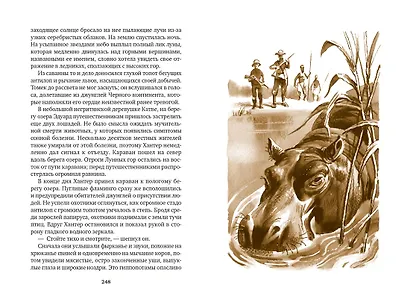 Томек на Черном континенте - фото 12