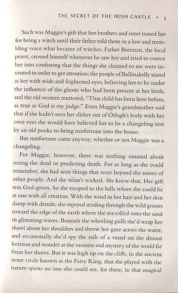 The Secret of the Irish Castle - фото 3