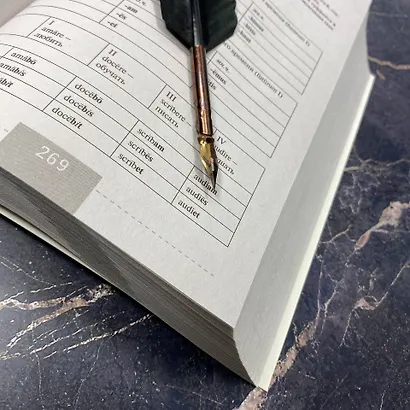 Полный курс латинского языка - фото 8