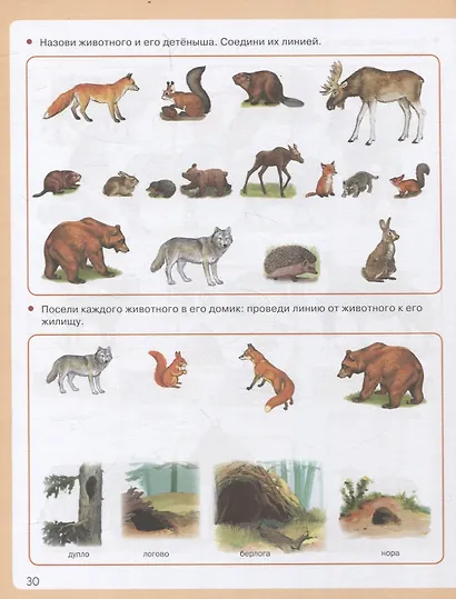 Я знаю: Мир растений. Мир животных. Мир человека. Окружающий мир в вопросах и заданиях - фото 4