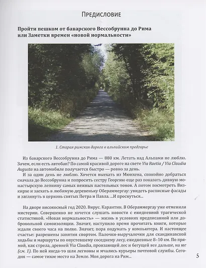 От Баварии до Рима. Книга о тех, кто украсил Европу - фото 5