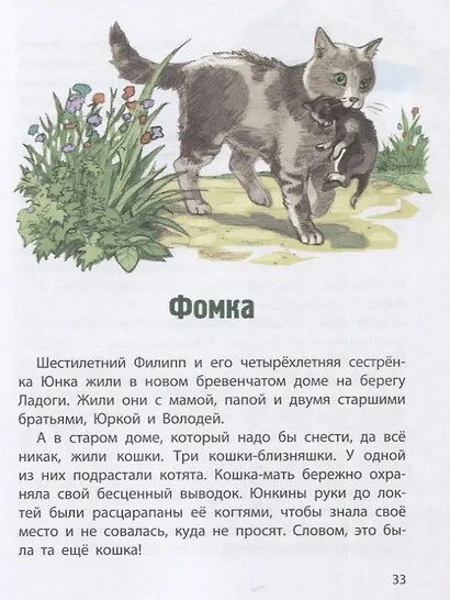 Сердце друга. Рассказы - фото 4