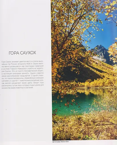 Россия. Заповедными дикими тропами: фотоальбом - фото 2