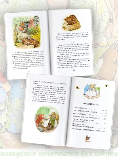 Приключения кролика Питера - фото 5