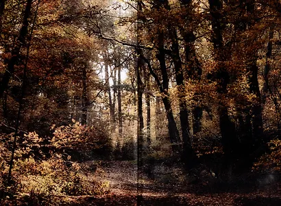 Жена чародея. Книга 1 - фото 3