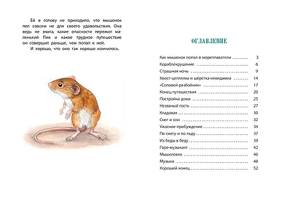 Мышонок Пик - фото 8