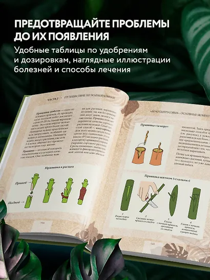 Зеленая комната. Как стать повелителем домашних джунглей - фото 7