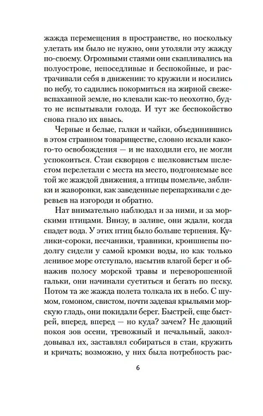 Птицы - фото 13