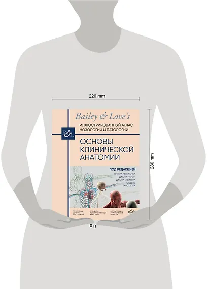 Основы клинической анатомии. Иллюстрированный атлас нозологий и патологий - фото 12