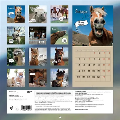 Подкова на удачу. 12 забавных символов года. Календарь настенный на 2026 год (300х300 мм) - фото 7