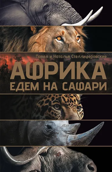 Африка. Едем на сафари - фото 1