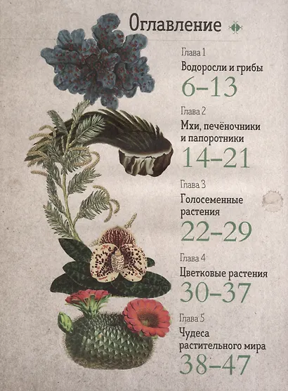Ботаника в картинках - фото 7