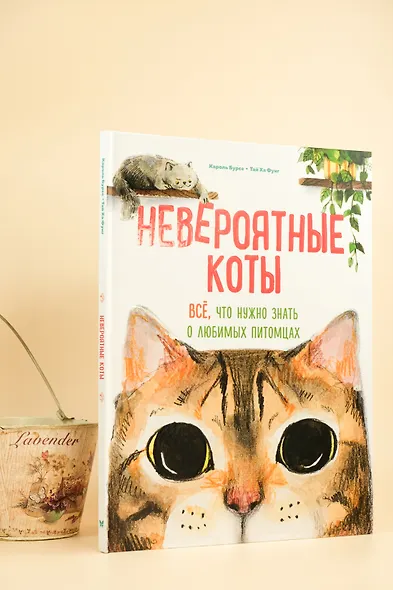 Невероятные коты. Всё, что нужно знать о любимых питомцах - фото 4