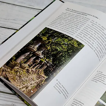 Сад в японском стиле. От идеи до воплощения - фото 11