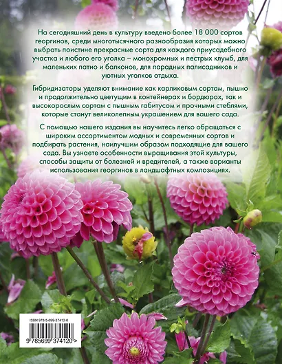 Георгины (Вырубка. Цветы в саду и на окне) - фото 2
