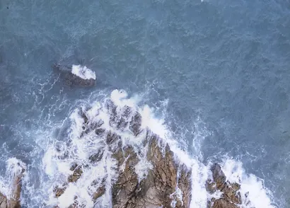 Стальной цветок долины - фото 3