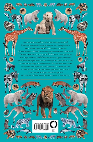 Животные. Иллюстрированный гид - фото 2
