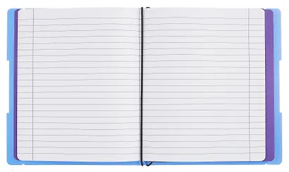 Тетрадь 96 листов, клетка/линейка, "DoubleBook. Васильковый" - фото 3