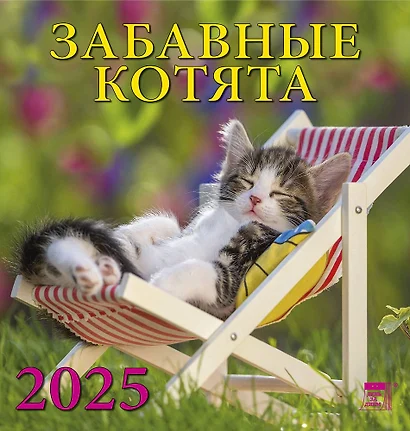 Календарь 2025г 160*170 "Забавные котята" настенный, на скрепке - фото 1