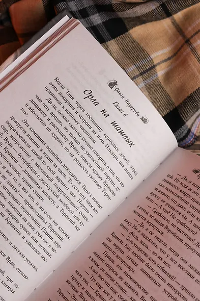 По эту сторону. Прибыток в доме с секретом - фото 12