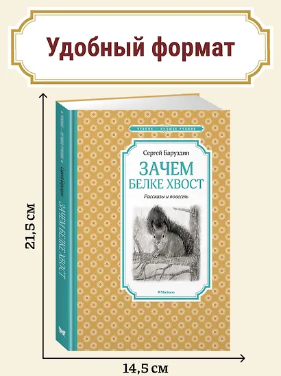 Зачем белке хвост. Рассказы и повесть - фото 3